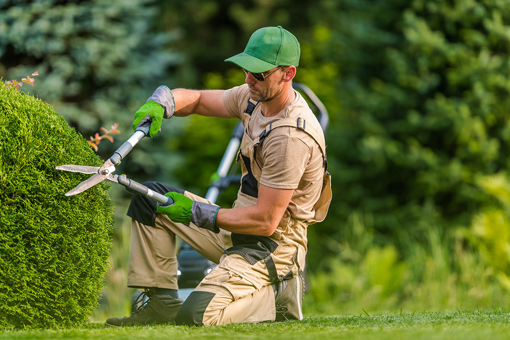Neighborhood Mow & Go crew