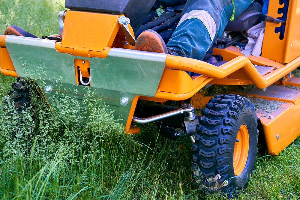 Freshly mowed lawn